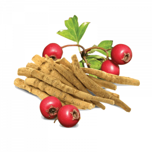 Soin capillaire – Ashwagandha