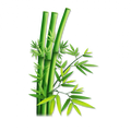 Soin capillaire – Bambou