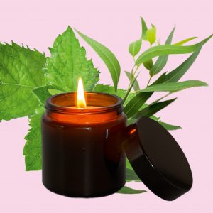 Bougie d’ambiance Menthe poivrée & Eucalyptus – Rituel Élégance | 100% Bio | Fabriqué en France | Lot de 20