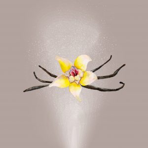 Brume parfumée – Vanille