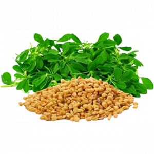 Soin capillaire – Fenugrec