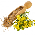 Soin capillaire – Graines de moutarde