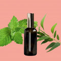 Parfum d'ambiance – Menthe poivrée & Eucalyptus 100% naturel Fabriqué en France Rituel Élégance lot de 20
