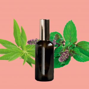 Parfum d'ambiance – Verveine & Basilic Sacré 100% naturel Fabriqué en France Rituel Élégance lot de 20