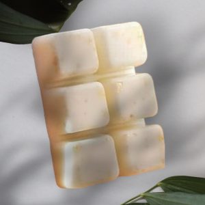Tablette de cire végétale pour diffusion – Parfum personnalisable Pro