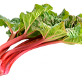 Soin capillaire – Rhapontic