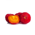 Soin capillaire – Arbousier