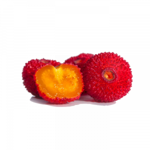 Soin capillaire – Arbousier