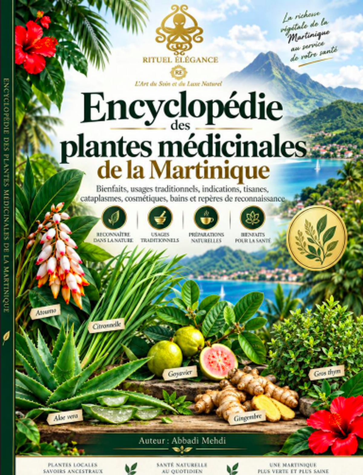 Encyclopédie des Plantes Médicinales de la Martinique – 141 Fiches Botaniques