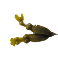 Soin capillaire – Fucus