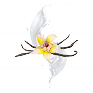 Lait pour le corps – Vanille