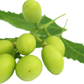 Soin capillaire – Neem