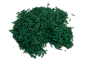 Soin capillaire – Spiruline